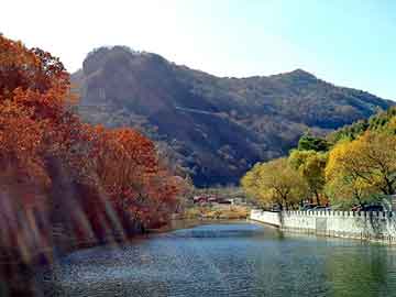 澳门二四六天天彩图库，阿二奶茶